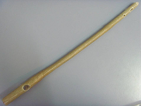 Composite NAIL
